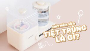 Máy Hâm Sữa Tiệt Trùng Đa Năng Là Gì Có Đáng Đầu Tư (2)