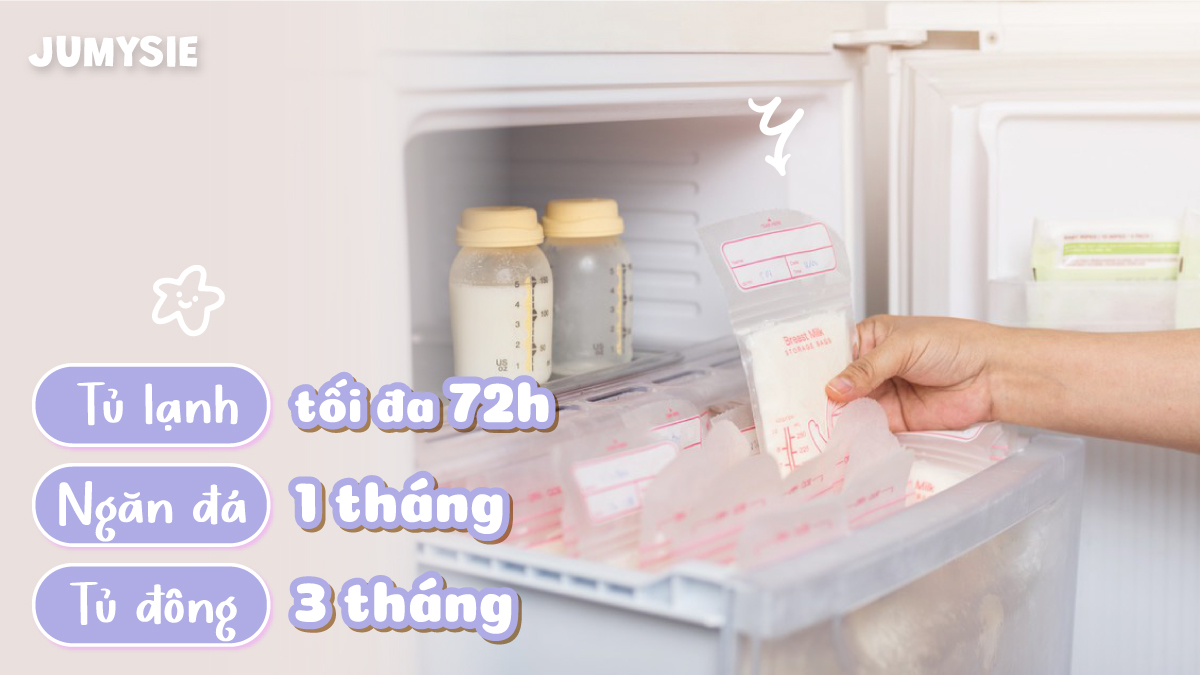 sữa mẹ bỏ tủ lạnh bảo quản được bao lâu