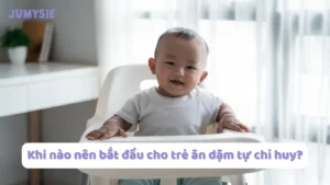 khi nào nên bắt đầu cho trẻ ăn dặm tự chỉ huy