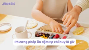 phương pháp ăn dặm tự chỉ huy là gì