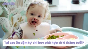 tại sao ăn dặm tự chỉ huy phù hợp cho bé từ 6 tháng tuổi