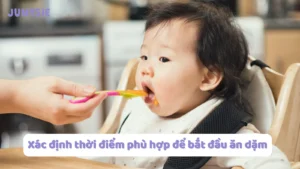 xác định thời điểm phù hợp để bắt đầu ăn dặm
