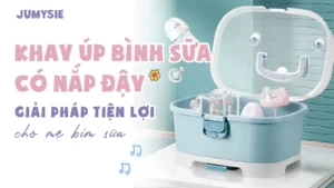 khay úp bình sữa có nắp đậy giải pháp tiện lợi cho mẹ bỉm